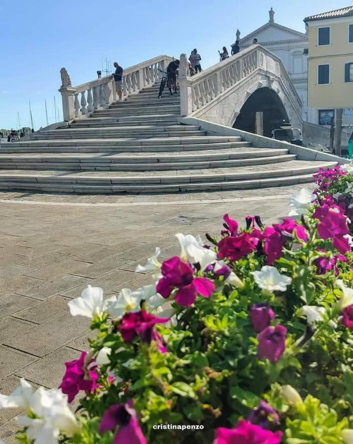 Апартаменты La Caletta Кьоджа Экстерьер фото